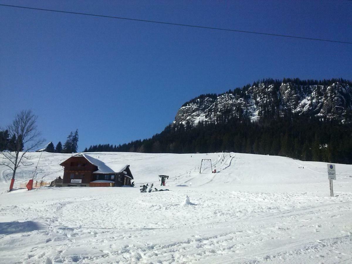 Weideblick Apartamento Tauplitz Exterior foto